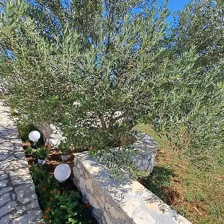 Villa Zagora *